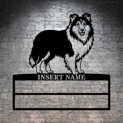 Shetland Sheepdog