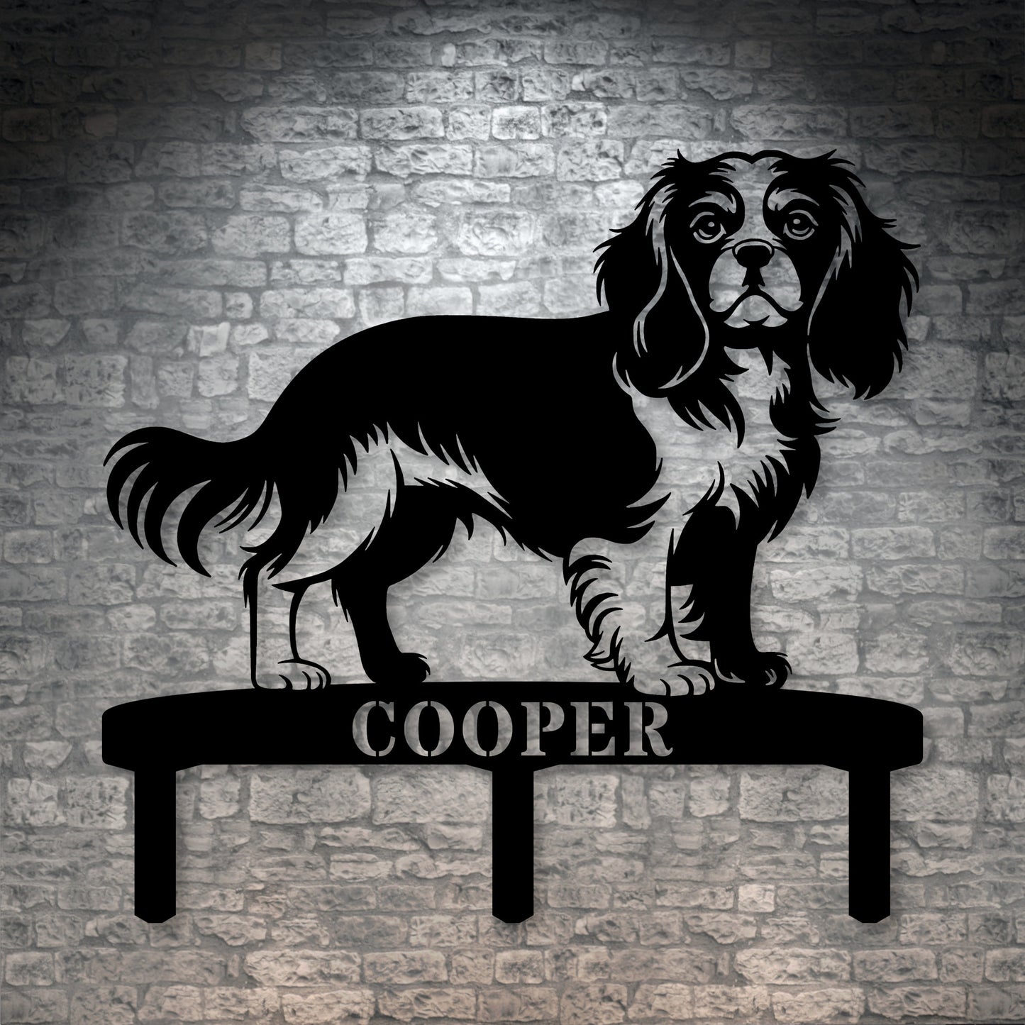 Cavalier King Charles Spaniel