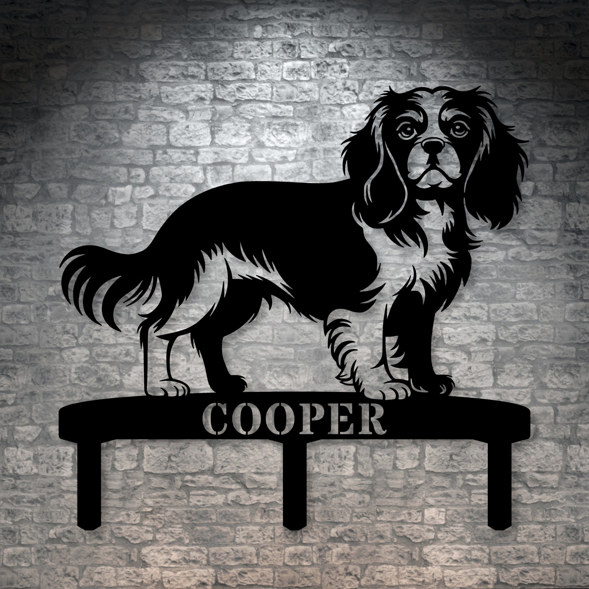 Cavalier King Charles Spaniel