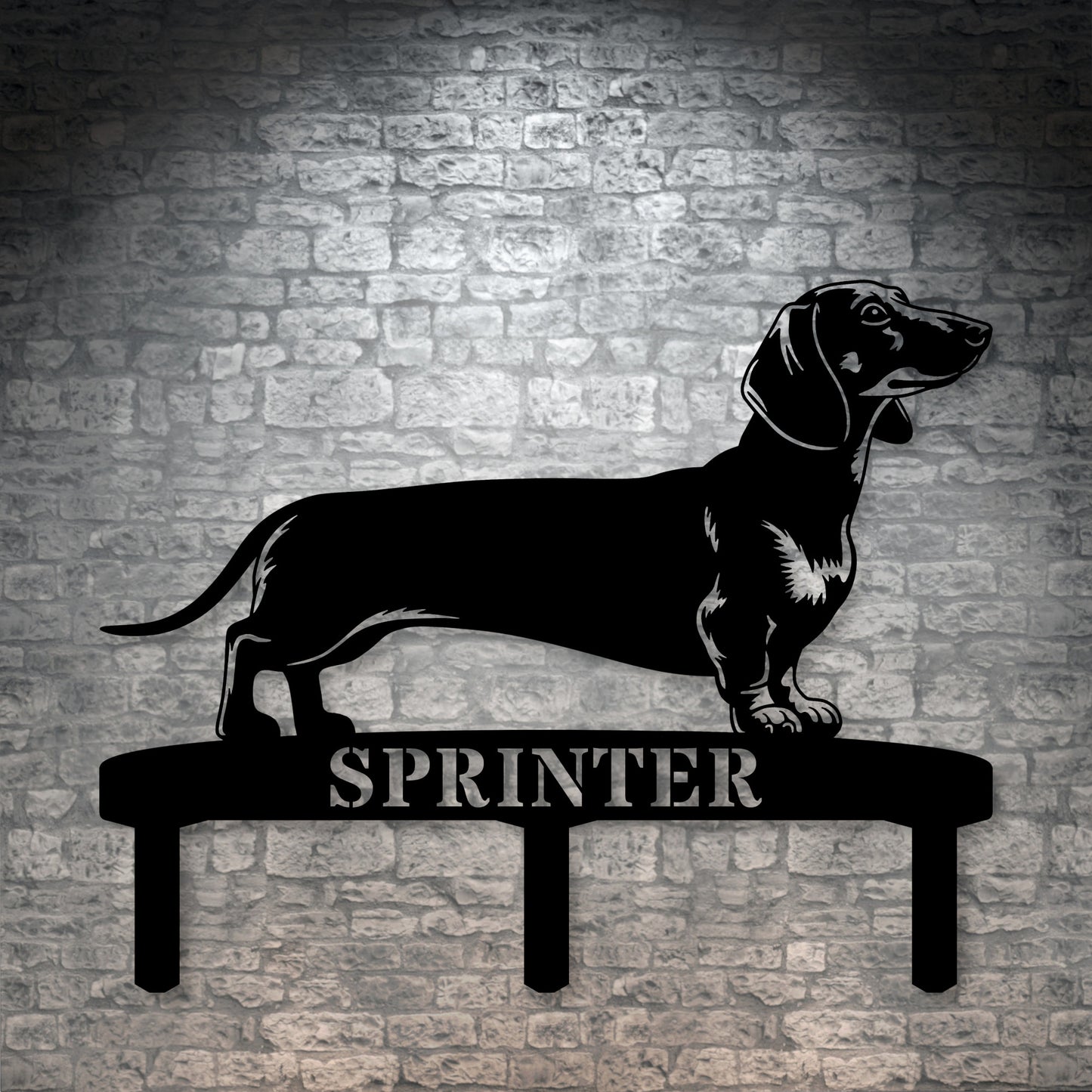 Personalized Dachshund Garden Metal Sign With Stakes. Custom Dog Lover Name Gift