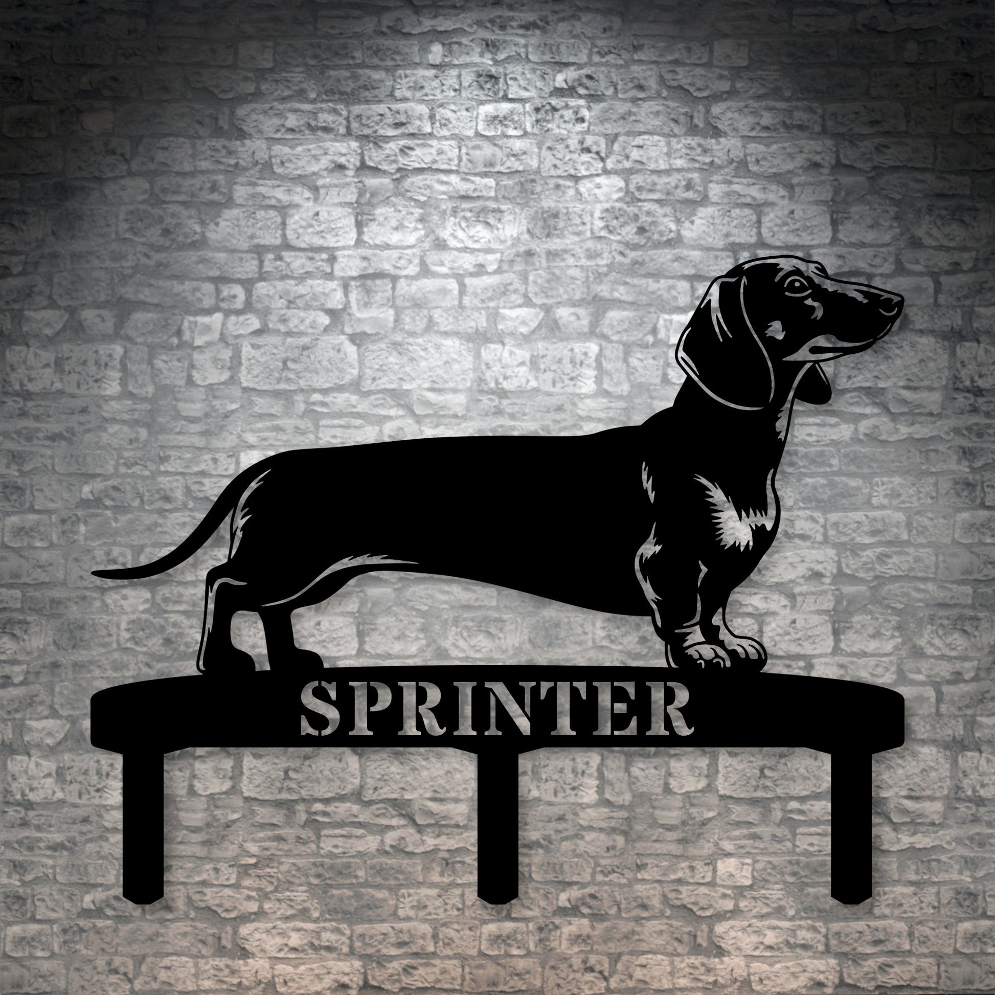 Personalized Dachshund Garden Metal Sign With Stakes. Custom Dog Lover Name Gift