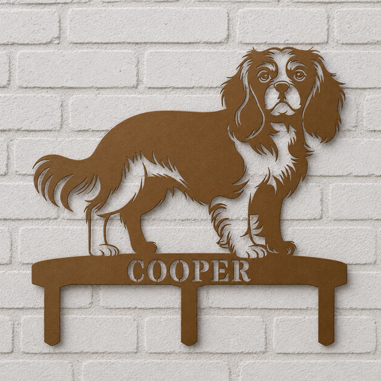 Cavalier King Charles Spaniel