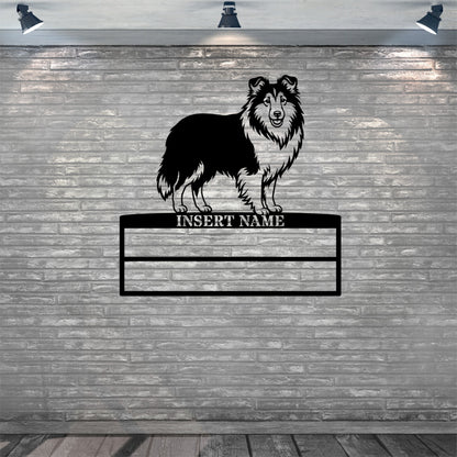 Shetland Sheepdog