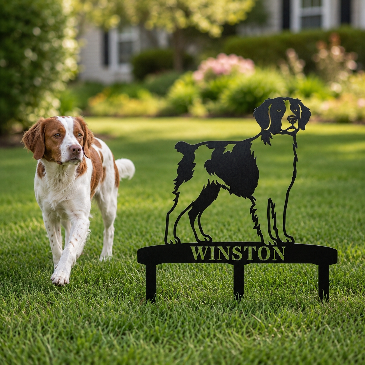 Personalized Brittany Dog Garden Metal Sign With Stakes. Custom Dog Lover Name Gift