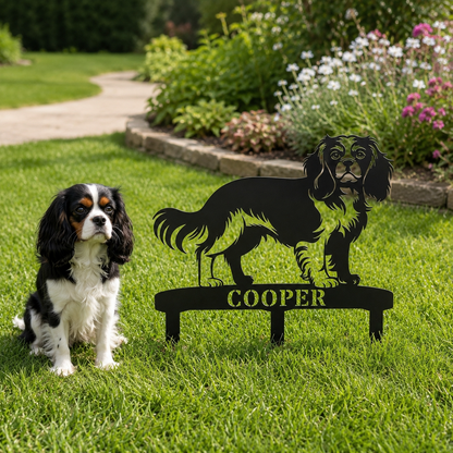 Cavalier King Charles Spaniel