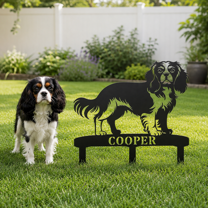 Cavalier King Charles Spaniel
