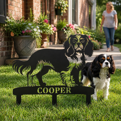 Cavalier King Charles Spaniel
