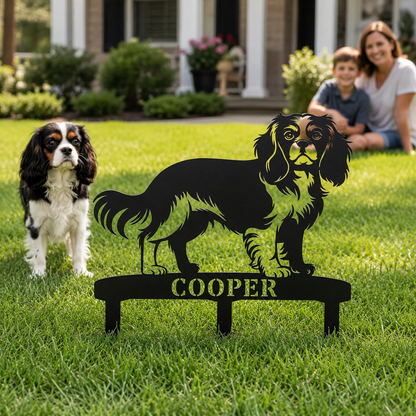 Cavalier King Charles Spaniel