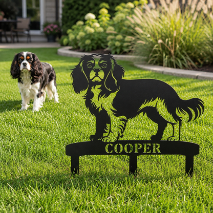 Cavalier King Charles Spaniel