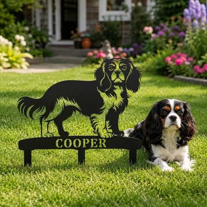 Cavalier King Charles Spaniel