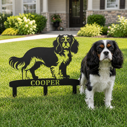 Cavalier King Charles Spaniel