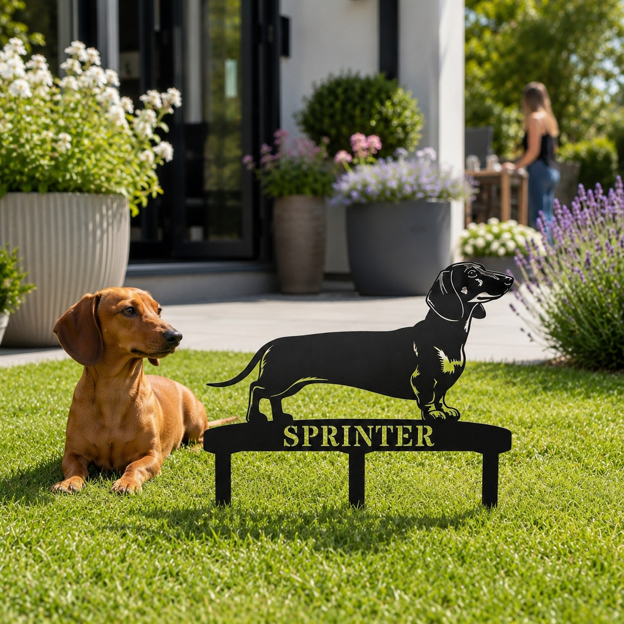 Personalized Dachshund Garden Metal Sign With Stakes. Custom Dog Lover Name Gift