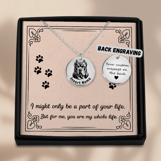 Personalized engraved American Bully silver necklace in jewelry box with a loving message card.