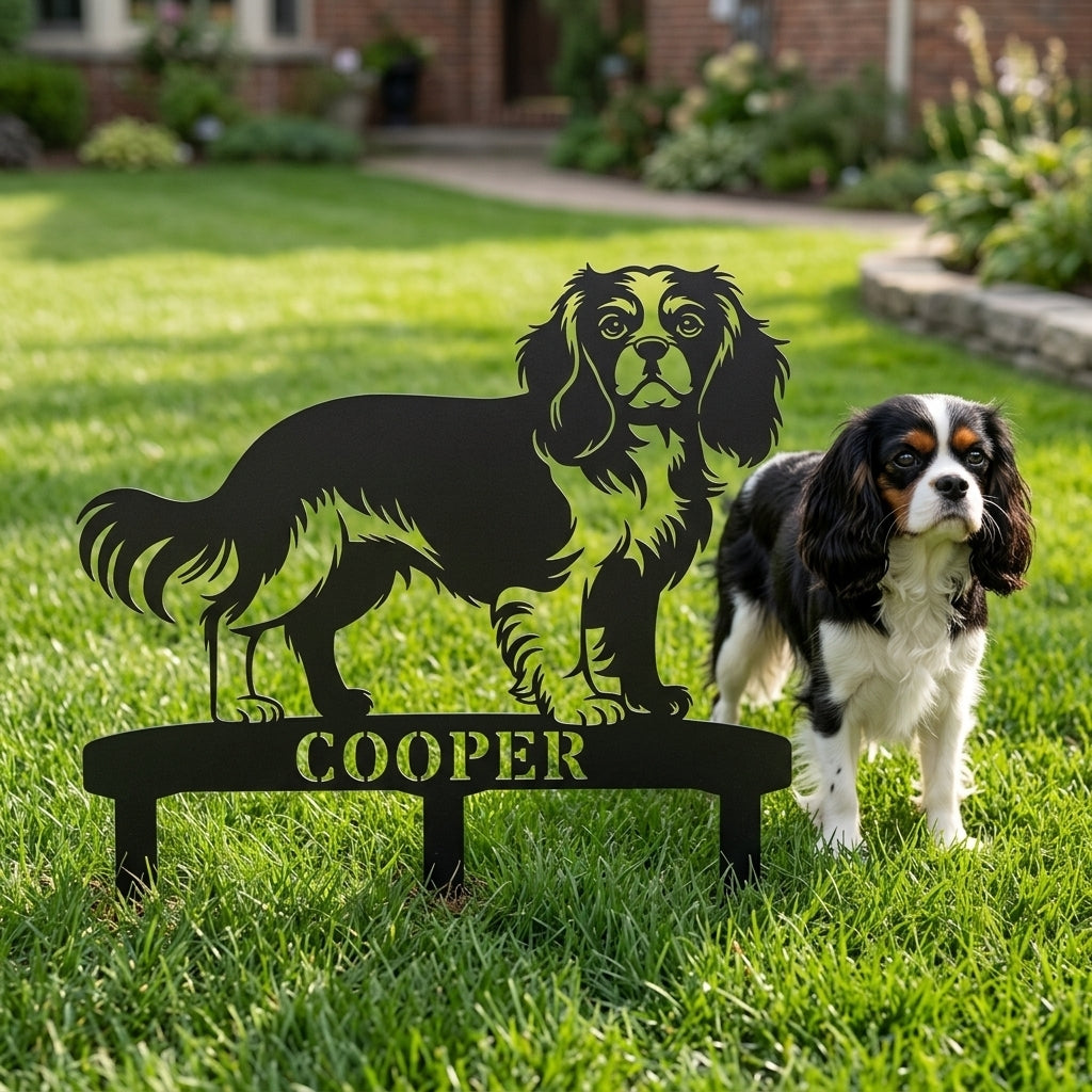 Cavalier King Charles Spaniel