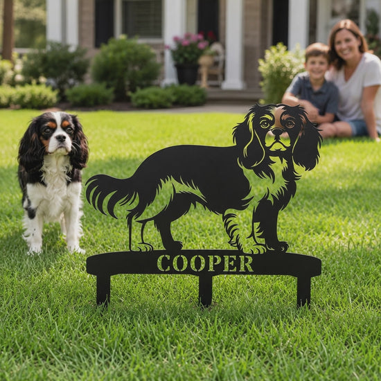 Cavalier King Charles Spaniel