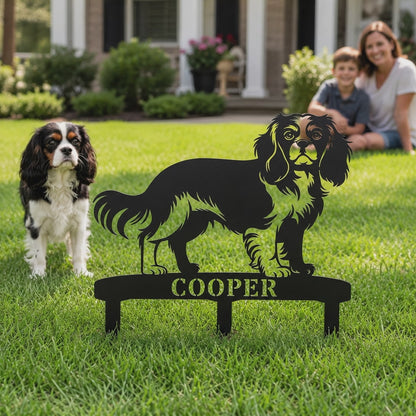 Cavalier King Charles Spaniel